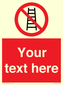 Custom No Ladders Sign